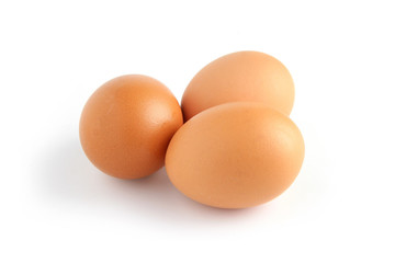 Œufs sur fond blanc