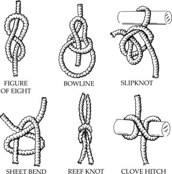 A collection of knots and hitches illustrations