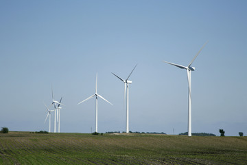 Fototapeta premium Row of wind turbines