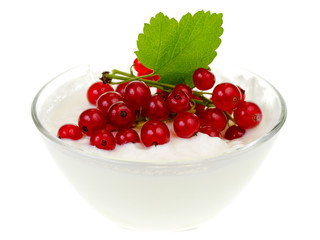 Yogurt bowl with Redcurrant berries