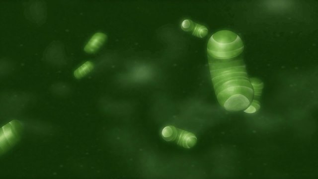 3d Cell Animation