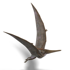 Dinosaur Pteranodon © Ralf Kraft