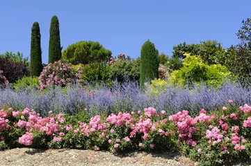 Tuinposter Provençaalse tuin © jbwagner
