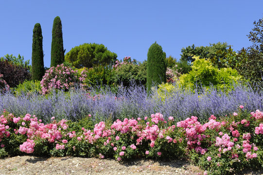 jardin proven&ccedil;al