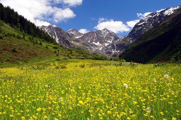 Pitztal in &Ouml;sterreich, Alpen