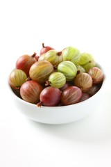 stachelbeere gooseberry