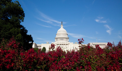Fototapeta na wymiar Capitol building, Washington D.C.