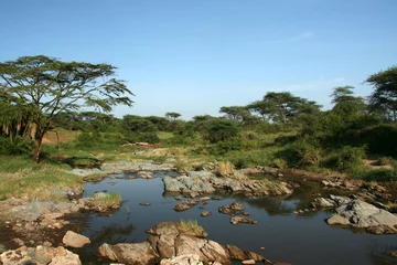 Zelfklevend Fotobehang River - Serengeti Safari, Tanzania, Africa © Sam D'Cruz