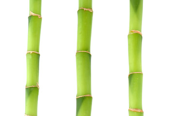 trois bambous