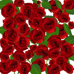 Valentine background   with rose design. Vector illustration