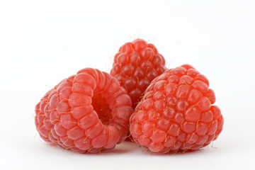Raspberries on white background