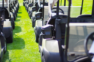 Line of Golf Carts