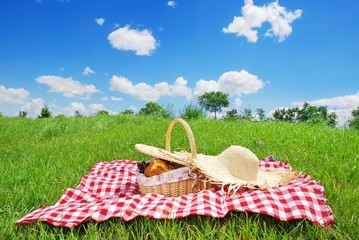Picnic on Meadow at Sunny Day