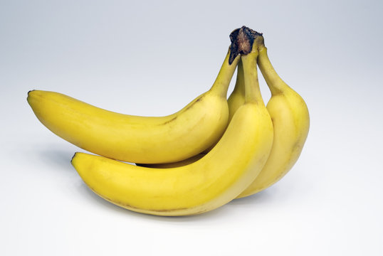 Banane (genere: Musa)
