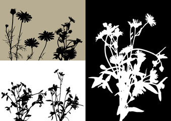 collection for designers, plant vector