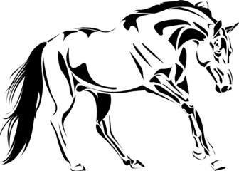 sketch vector stallion
