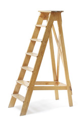 Old Ladder