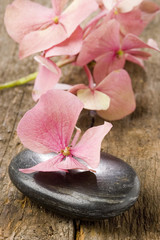 spa stones with flower