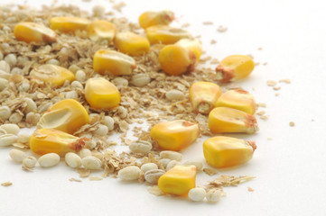 Alimentazione suina - Mais orzo e crusca