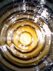 reflection of sunset and trees in water