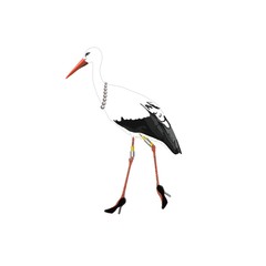 dame cigogne