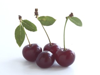 cherries