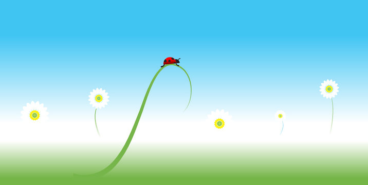 Ladybug, spring background