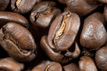 Macro of coffee beans