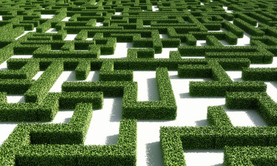 green maze2