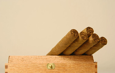 Cigarillos