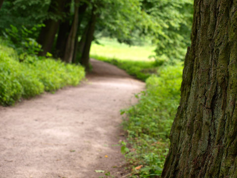 Wanderweg