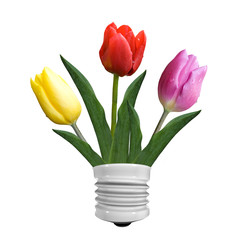 beautiful isolated green yellow red and violet tulip flowers
