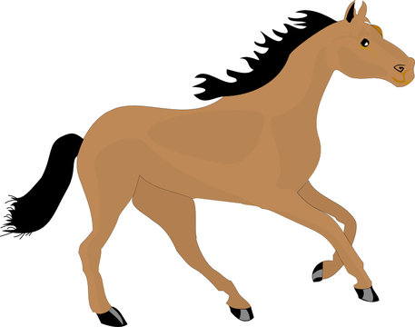 drawing of horse color, gallop