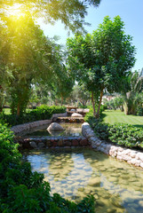 Naklejka premium Beautiful park