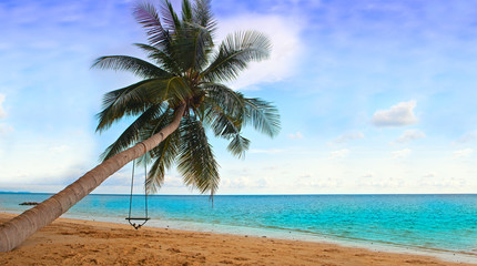 Naklejka na ściany i meble Palm on the beach