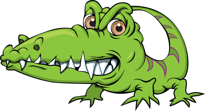 Lizard