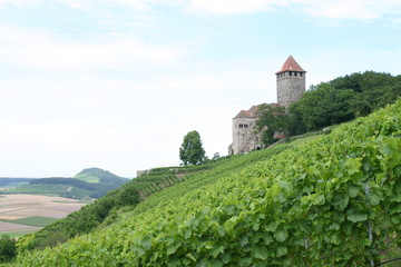 Fototapeta na wymiar Burg in den Weinbergen