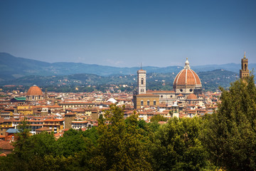 Fototapeta na wymiar Firenze panoramic cityscape