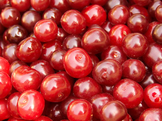 Cherry fresh