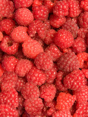 Raspberry berries