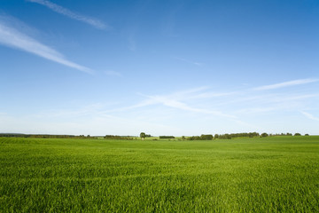 beautiful landscape and cloudy sky
