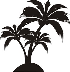 palm
