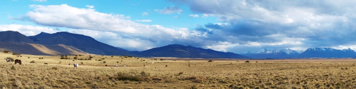 Paysage de Patagonie