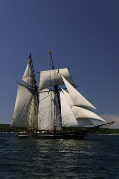 Tall Ship harbour Halifax