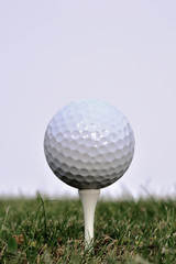 Golf Ball on White Tee