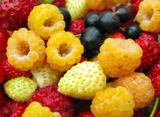 Delicious Fresh Berry Mix