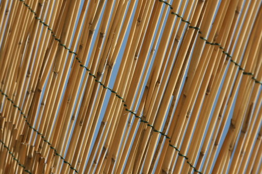 coperture bamboo