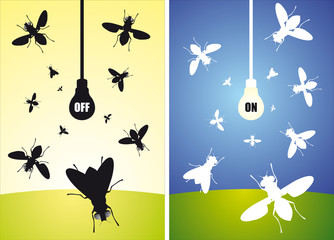 Bulb and flying flies