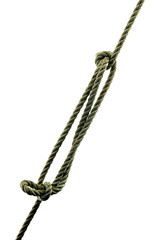 Sheepshank