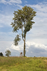 Landschaft mit Hochsitz